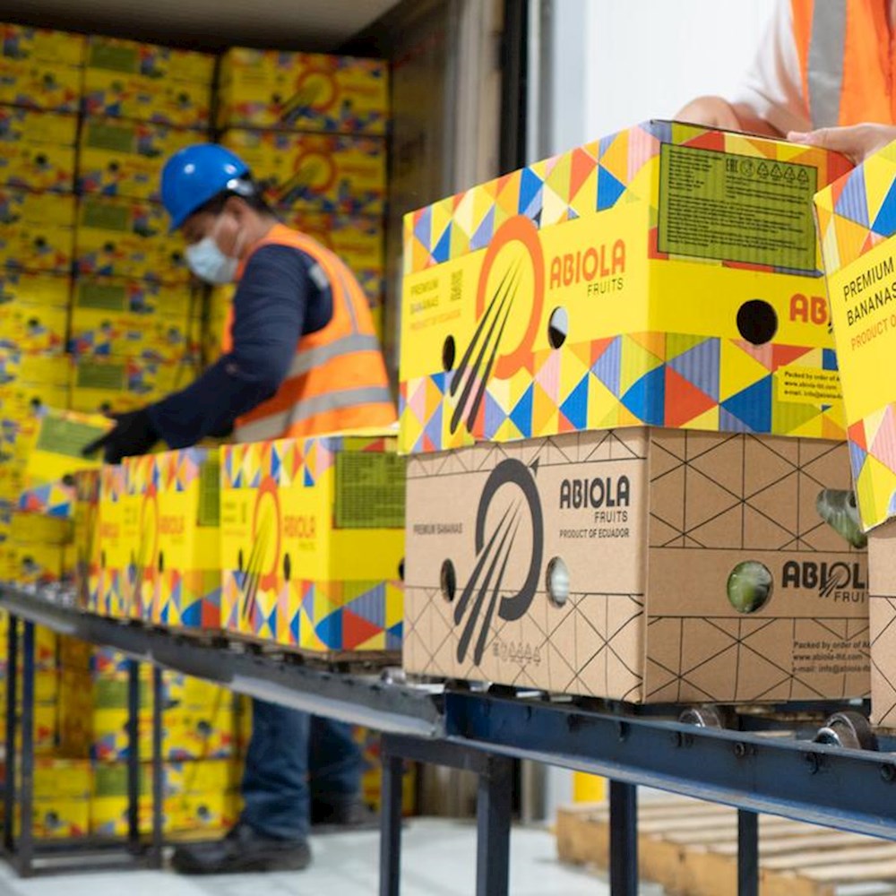 DP World’s perishable packaging solutions