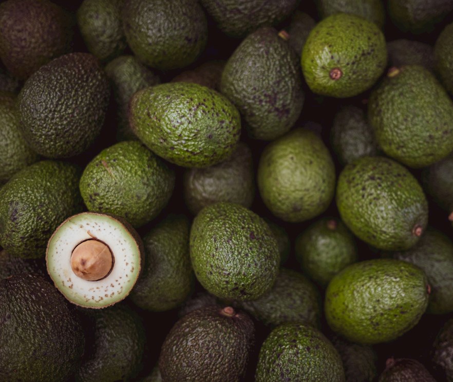 Fresh avocados and logistics helping Rwanda’s agricultural sector