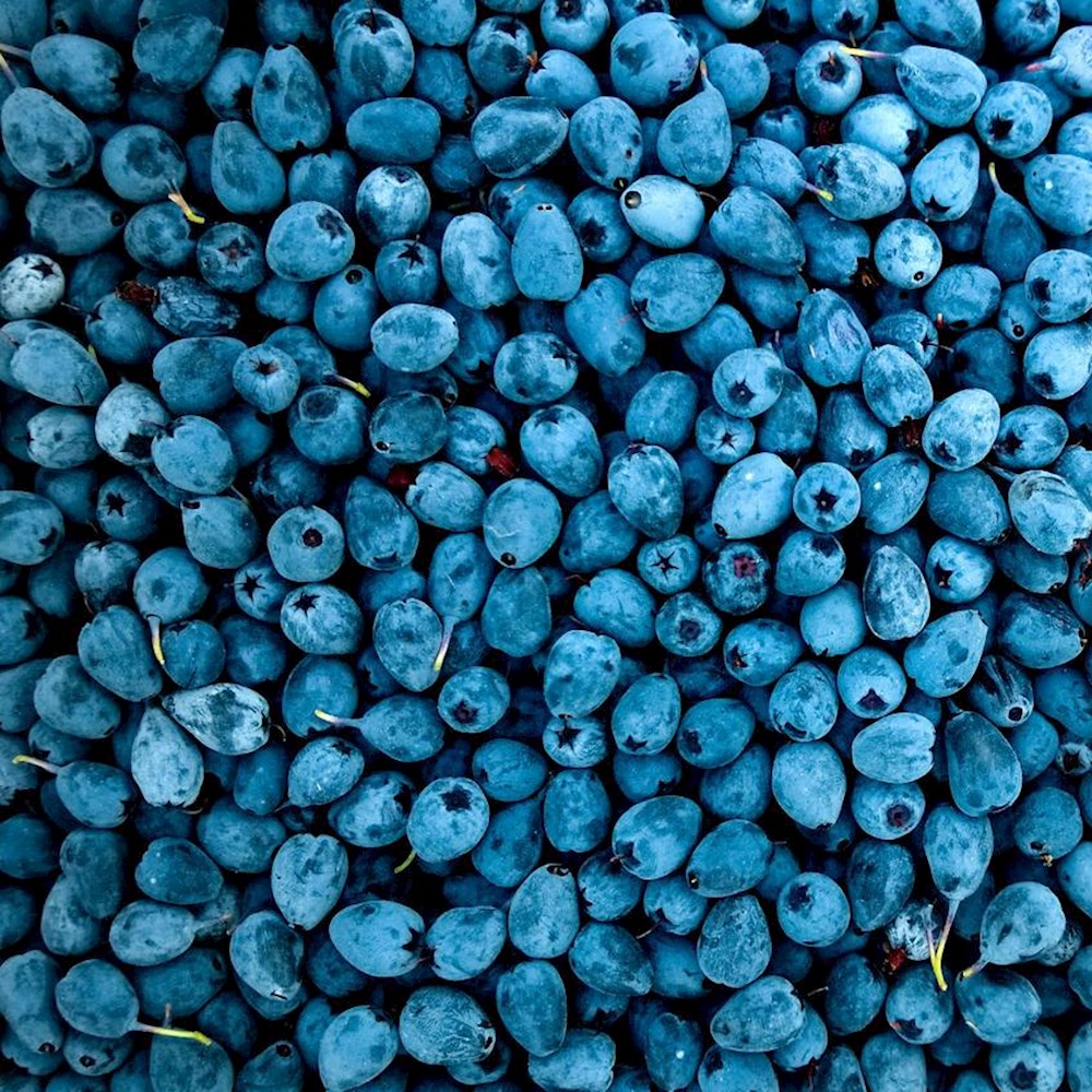 Perishable industry