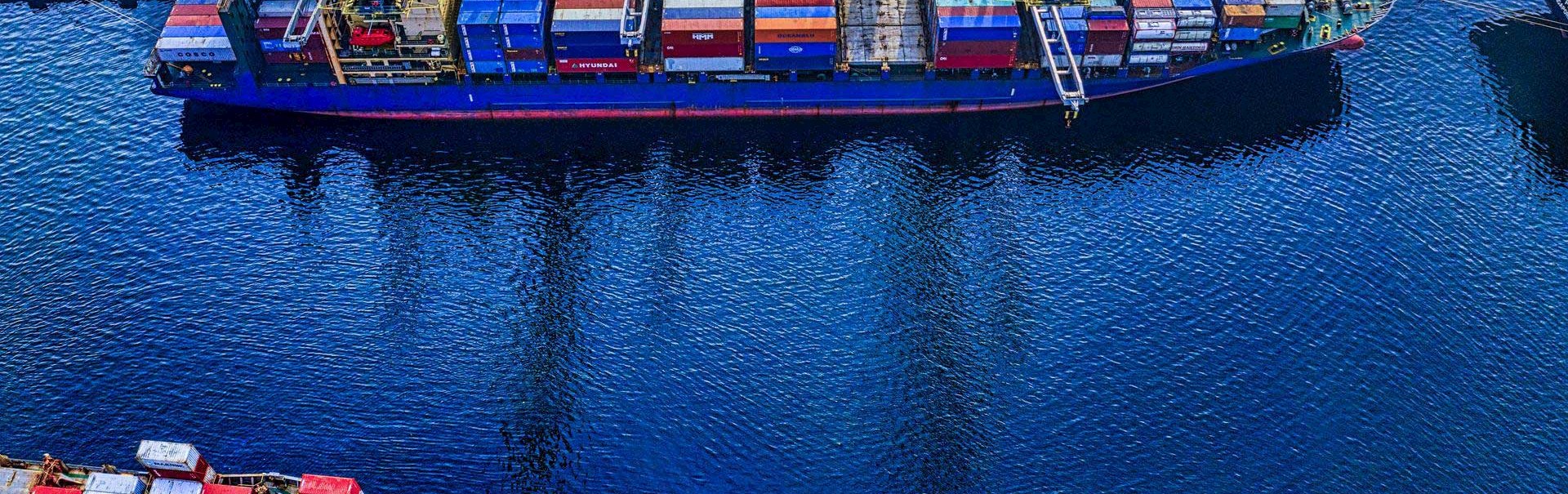 Searates DP World